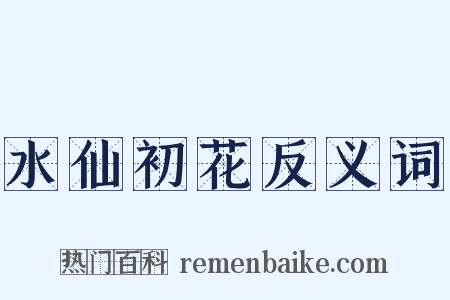 水仙初花反义词是什么意思的图片